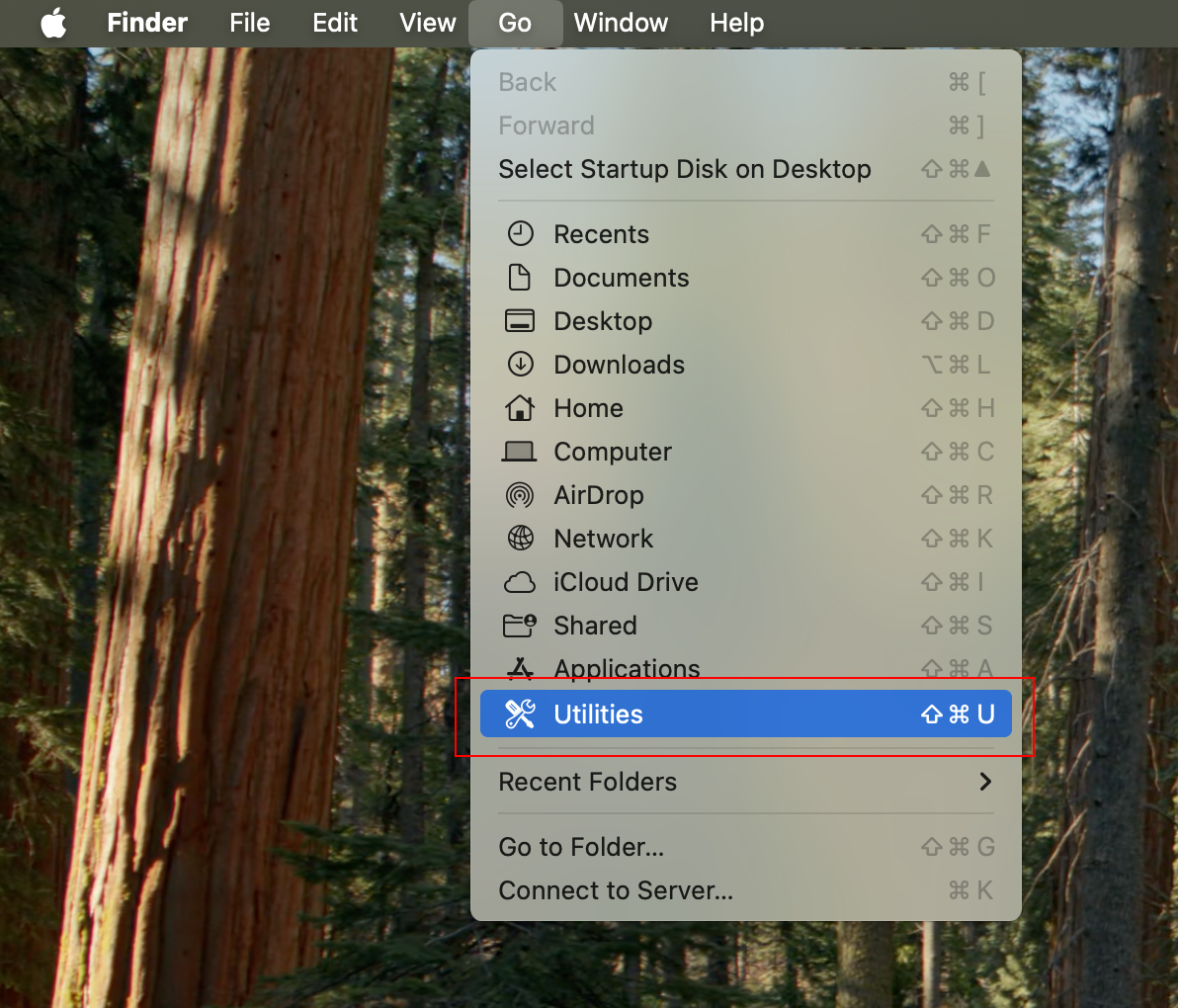 fixed host mac